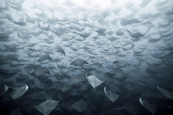 Foto Fantastis Keren 22