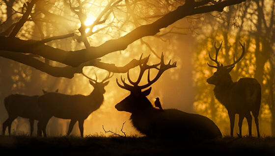 Foto Fantastis Keren 24
