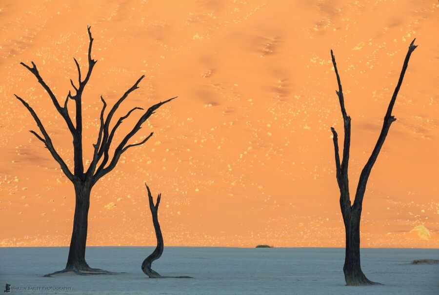 Foto Terlihat Seperti Planet Lain 11