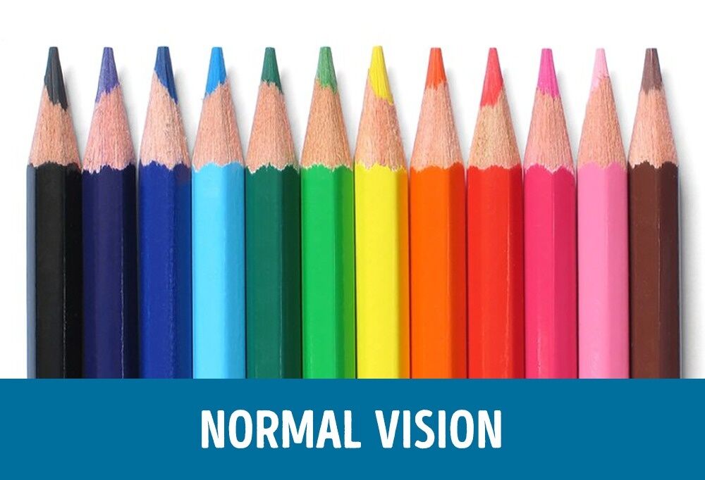 Perbandingan Mata Normal Dan Buta Warna 1