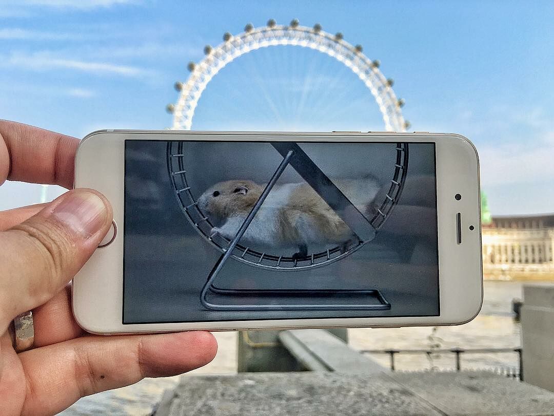Mainan Hamster