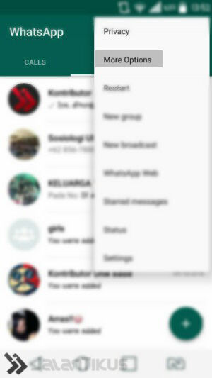 WhatsAppMod-Pengaturan-Tema