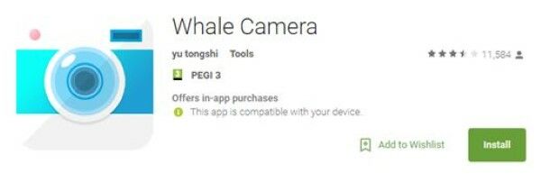 Foto Checkpoin Hummingwhale