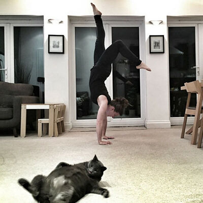 Photobomb Kucing 8