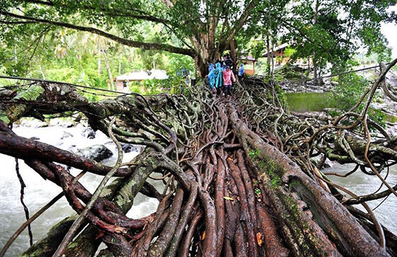 Foto Tanpa Photoshop Dunia Keren 1
