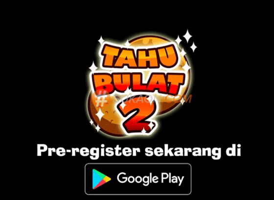 tahu2