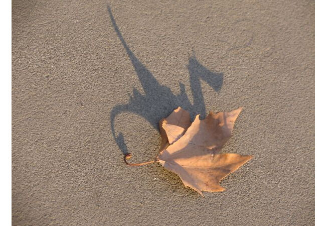 Shadow7