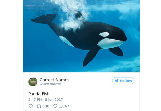 Name2