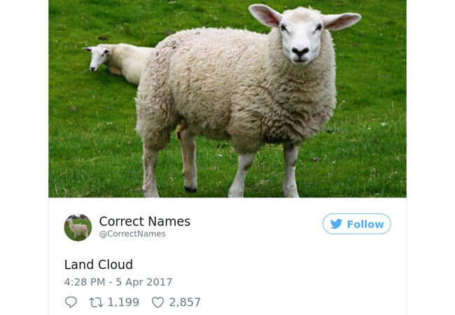 Name5