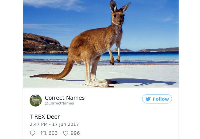 Name7
