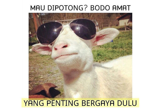 Meme Adha 1