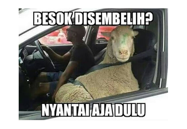 Meme Adha 6