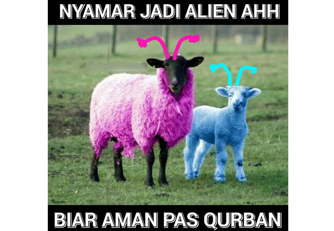 Meme Adha 8