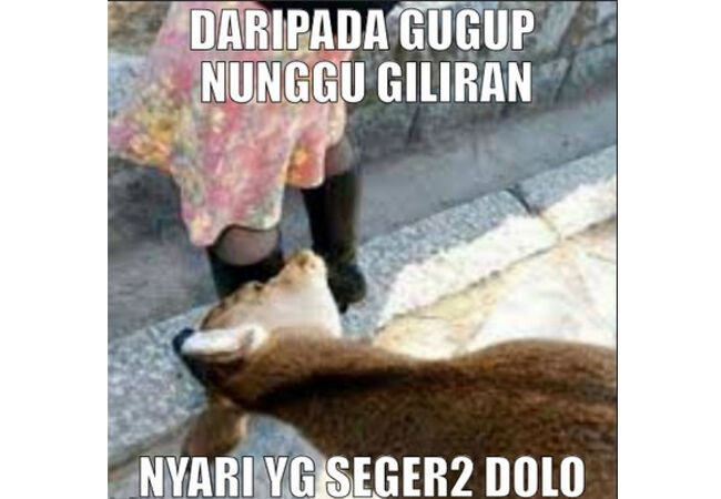 Meme Adha 10