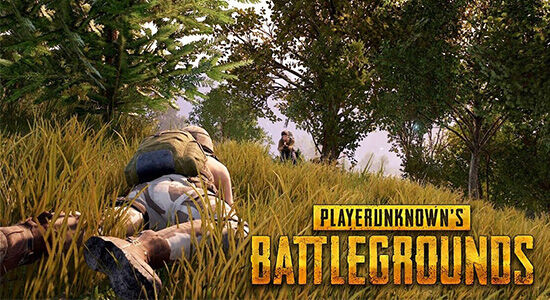 Penjualan Game Pubg 01