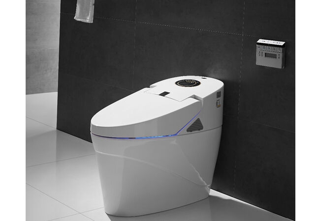 Toto Intelligence Toilet
