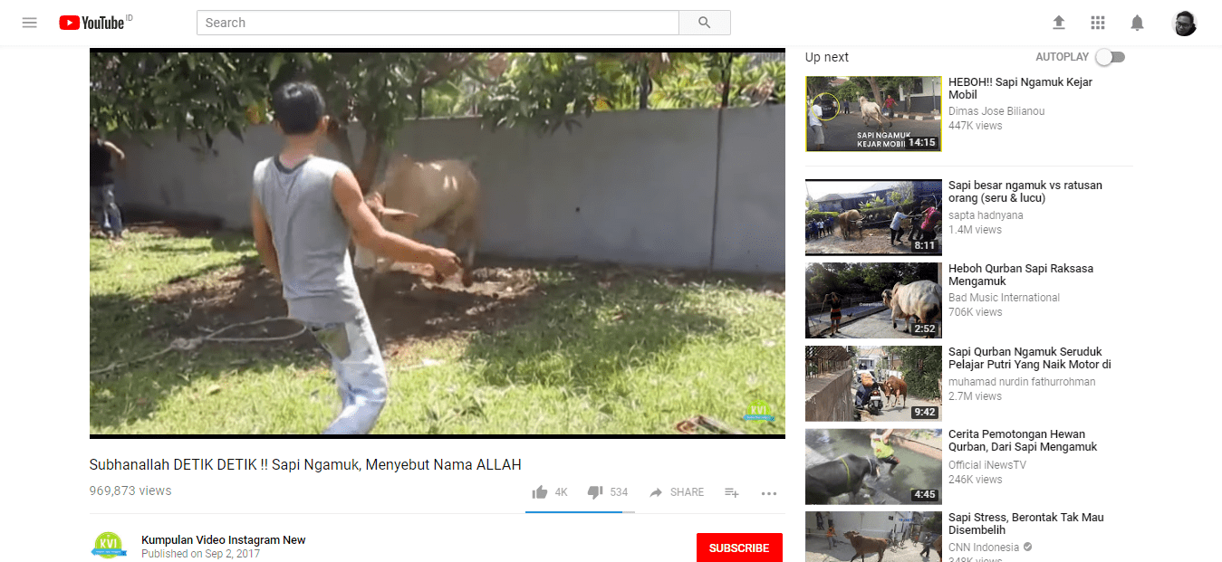 Video Tidak Bermanfaat Youtube Trending Indonesia 04