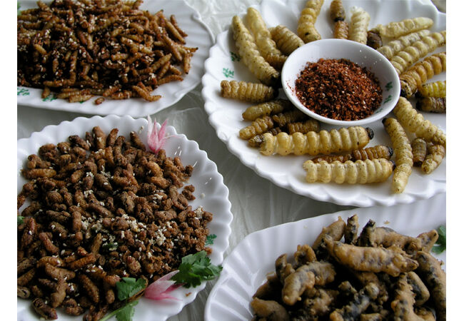 makanan-pengganti-nasi-2