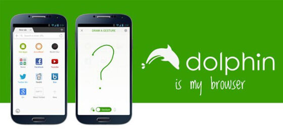 Dolphin Browser