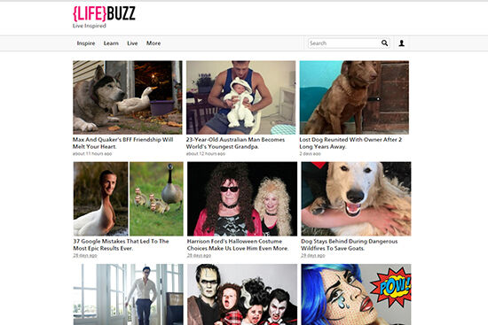 Lifebuzz
