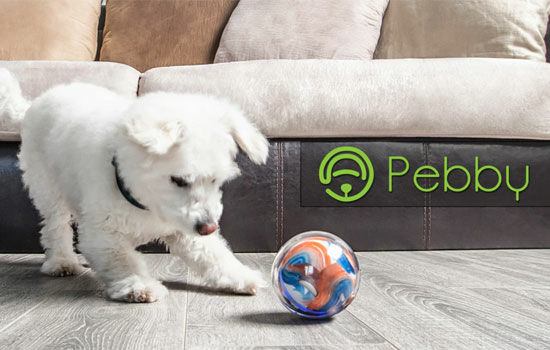Pebby