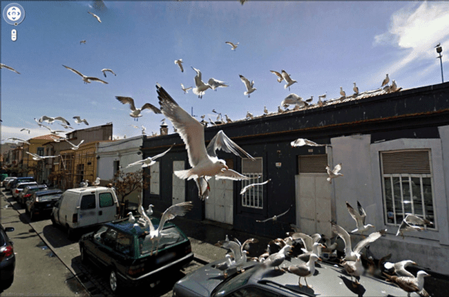 Foto Tak Terduga Google Street 6