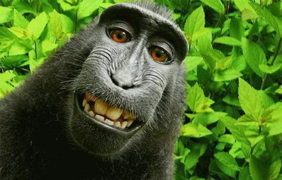 Kumpulan Selfie Termahal 1