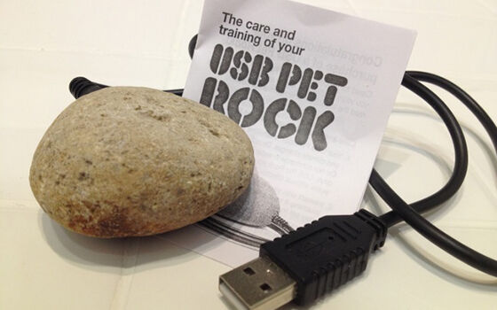 Usb Pet Rock Penemuan Koplak Tidak Dijual