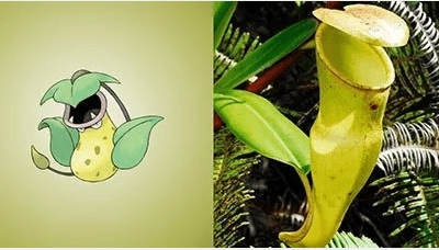 hewan-dan-tumbuhan-inspirasi-pokemon-3
