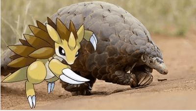 hewan-dan-tumbuhan-inspirasi-pokemon-4
