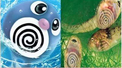 hewan-dan-tumbuhan-inspirasi-pokemon-5