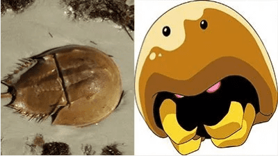 hewan-dan-tumbuhan-inspirasi-pokemon-6