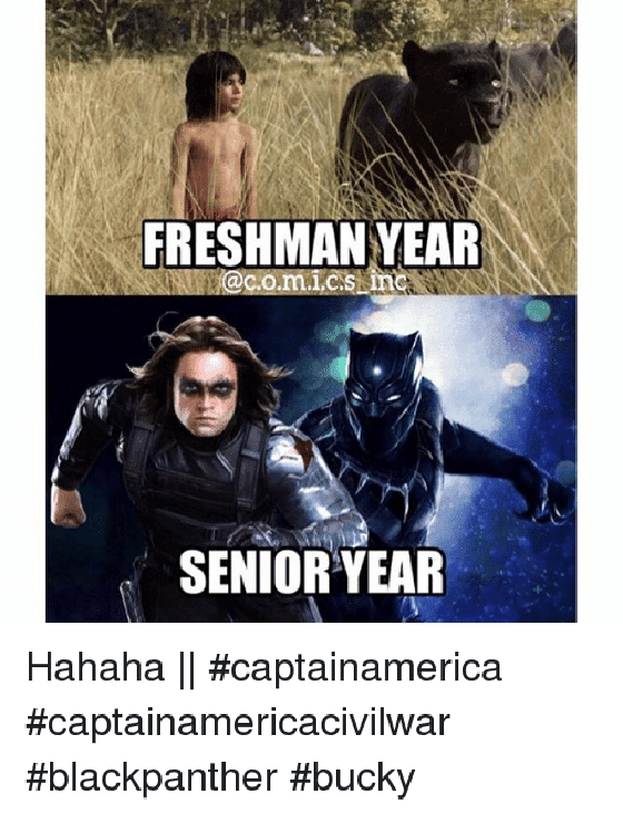 Meme Black Panther 2