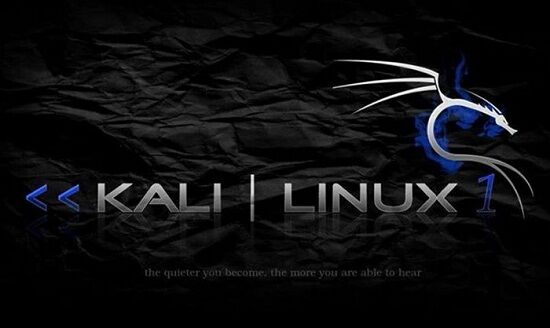 Kali Linux 267e8