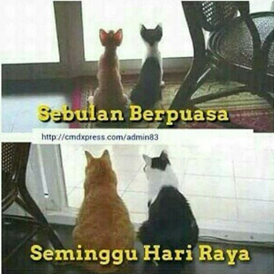 Meme Lebaran 8 D81ce