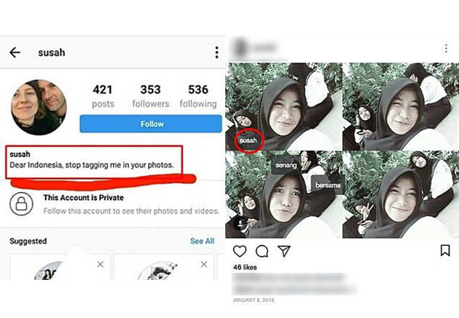 Ig 1 79c3c