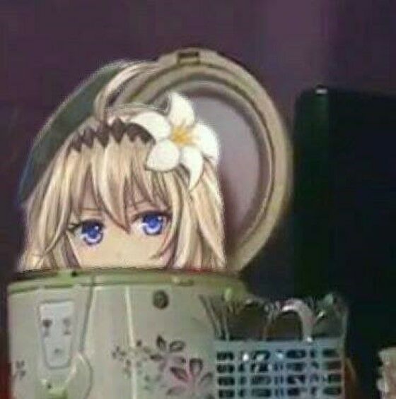 10 Meme Emak Dalam Rice Cooker Ini Kocak Abis 2 2a09f