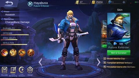 Hayabusa 02d51