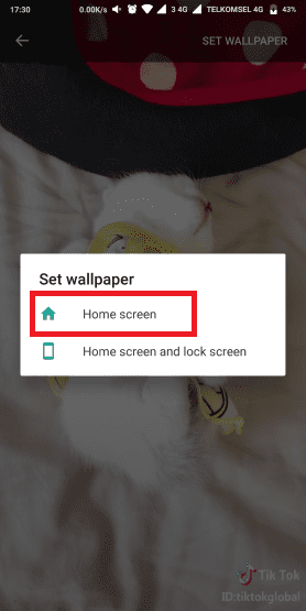 Screenshot 2018 07 13 17 30 07 585 Com Android Wallpaper Livepicker Custom Aa150