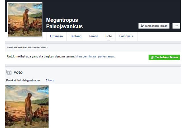 Purba 4 C00a6