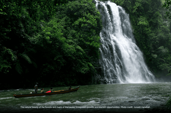 Ekosistem Leuser Google Earth 1 39e27