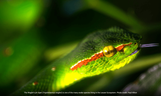 Ekosistem Leuser Google Earth 3 B53f1