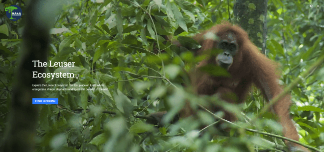Ekosistem Leuser Google Earth 4 92222