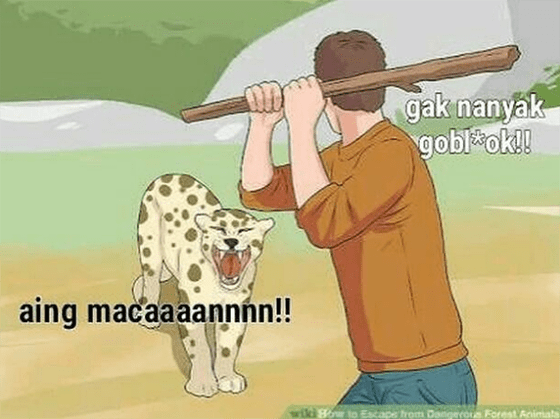 Meme Wikihow Indonesia Part 2 10 7883a