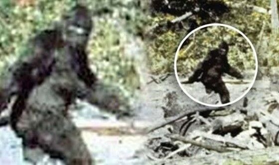 Monster Mengerikan Tertangkap Kamera 6 Ea150