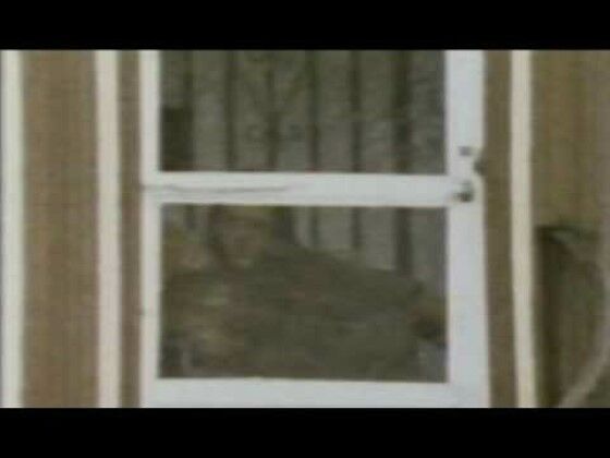 Penampakan Hantu Selebritis 5 3b994