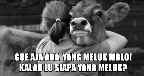 Meme Kocak Hewan Kurban 3 4b523