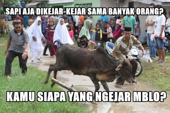 Meme Kocak Hewan Kurban 5 18b9e