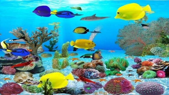 Wallpaper Aquarium Bergerak Windows 7 1 D0e78