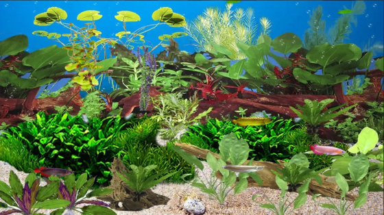Wallpaper Aquarium Bergerak Windows 7 2 0f780